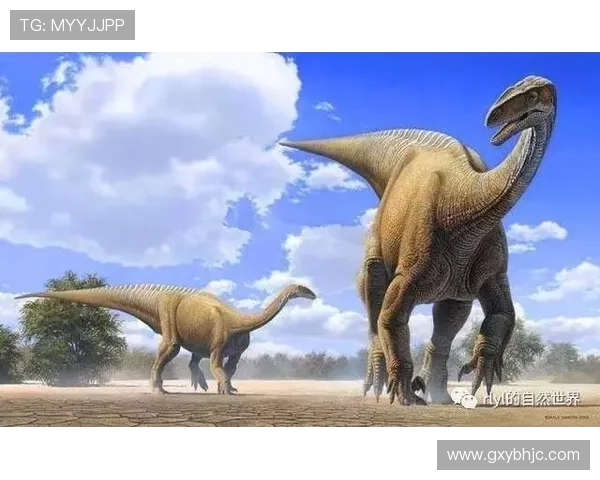 nc恐龙对阵乐天巨人精彩直播全程回顾与赛后分析 nc恐龙对阵乐天巨人精彩直播全程回顾与赛后分析