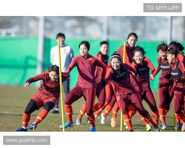 中华台北与韩朝联队激战在即球迷期待精彩对决与历史交锋 中华台北与韩朝联队激战在即球迷期待精彩对决与历史交锋