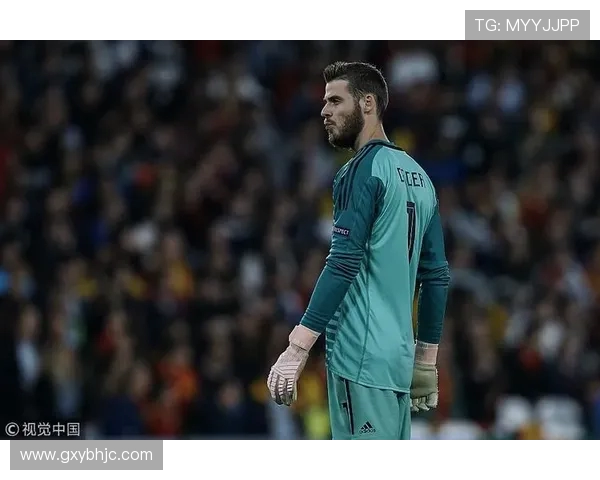 库尔图瓦的传奇之路：从青涩门将到世界顶级守护神的成长历程