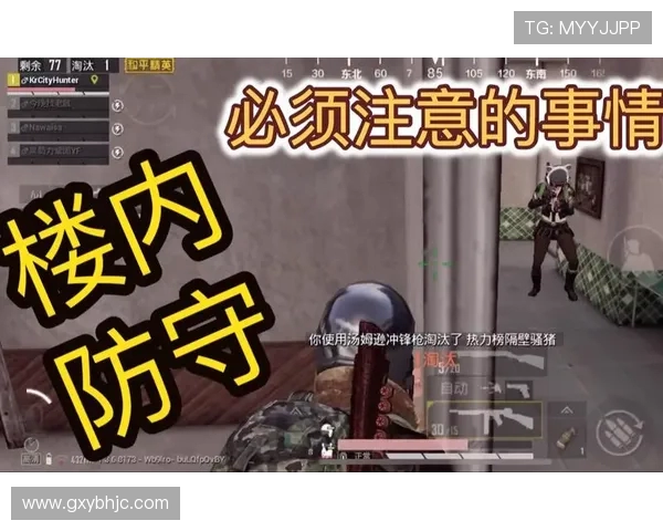 和平精英评论：IG在区域防守中的优势与不足分析