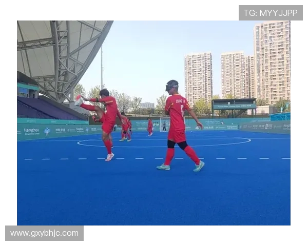 杭州羽毛球队整体压制革新之路探索与实践分析 杭州羽毛球队整体压制革新之路探索与实践分析