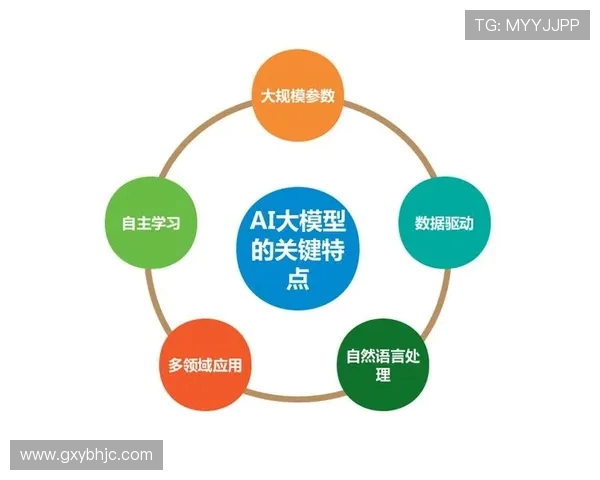 武汉篮球队的崛起与挑战分析：力量与团队精神的深度探讨