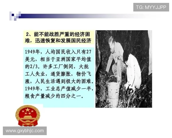 深圳排球队的辉煌征程与大满贯梦想的追逐之路