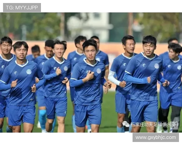 南京足球队的节奏解析与未来发展展望