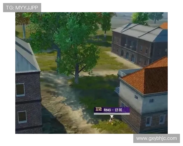 和平精英深度解析：RNG战队成功运营背后的秘密与策略