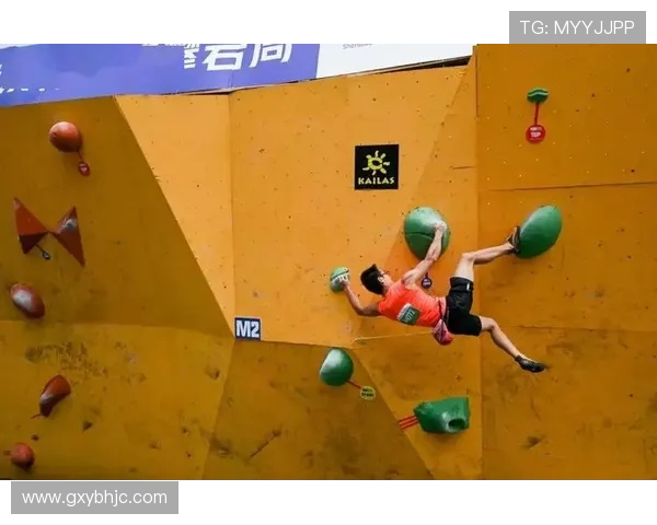 攀岩高手刘伟分享成功秘诀与训练心得的专访揭秘