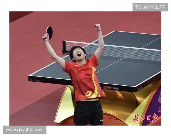 杭州乒乓球队区域防守创新策略探讨与实践分析